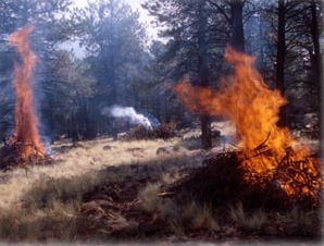 Slash piles are constructed and burned as a form of wildfire mitigation